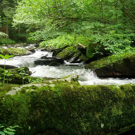 Zum Sonnenhugel Διαμέρισμα Wegscheid